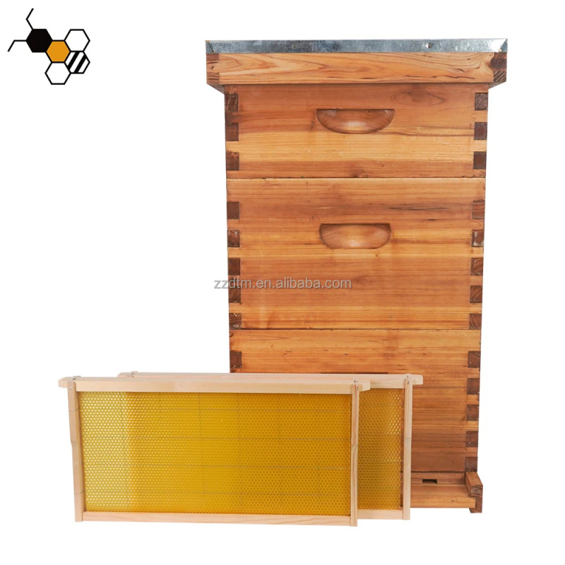 Beehive Frame Wax - Wysokiej jakości zestaw do ula z