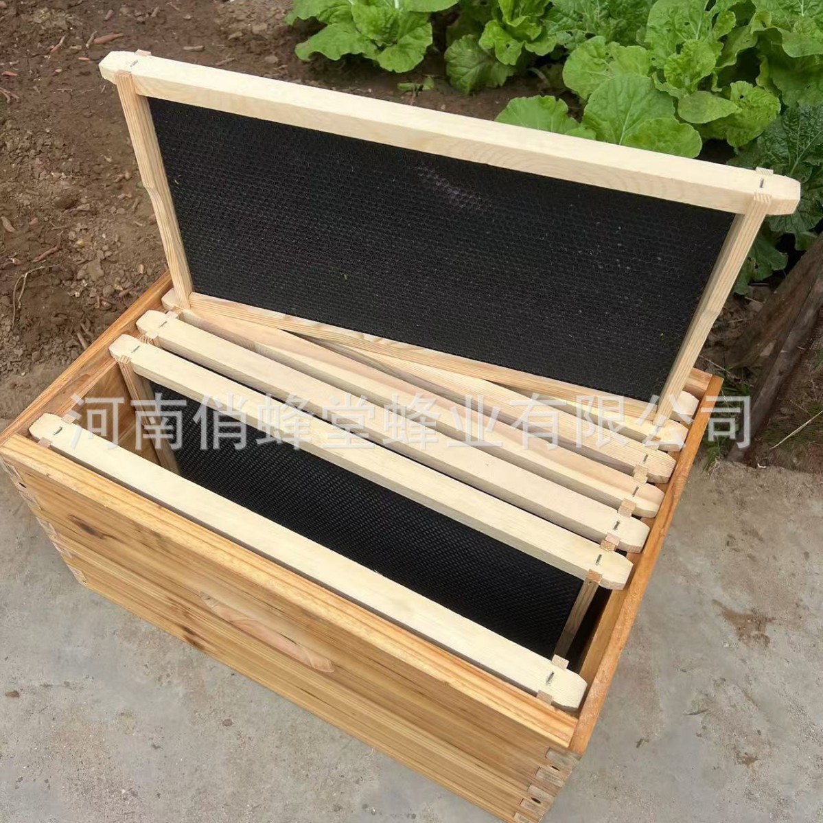 Beehive Frame Wax - Narzędzia pszczelarskie Najwyższej Jakości Bezszczekotowe Plastikowe