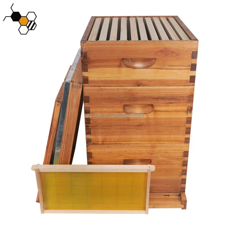 Wysokiej jakości zestaw do ula – Beehive Frame Wax recenzja i cena