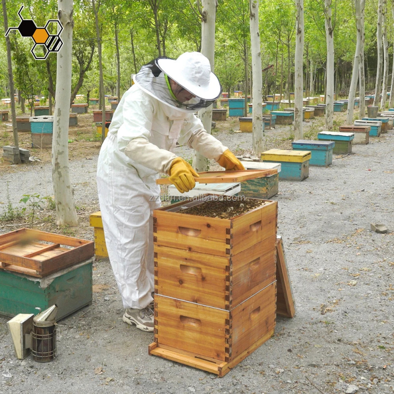 Wysokiej jakości zestaw do ula – Beehive Frame Wax recenzja i cena