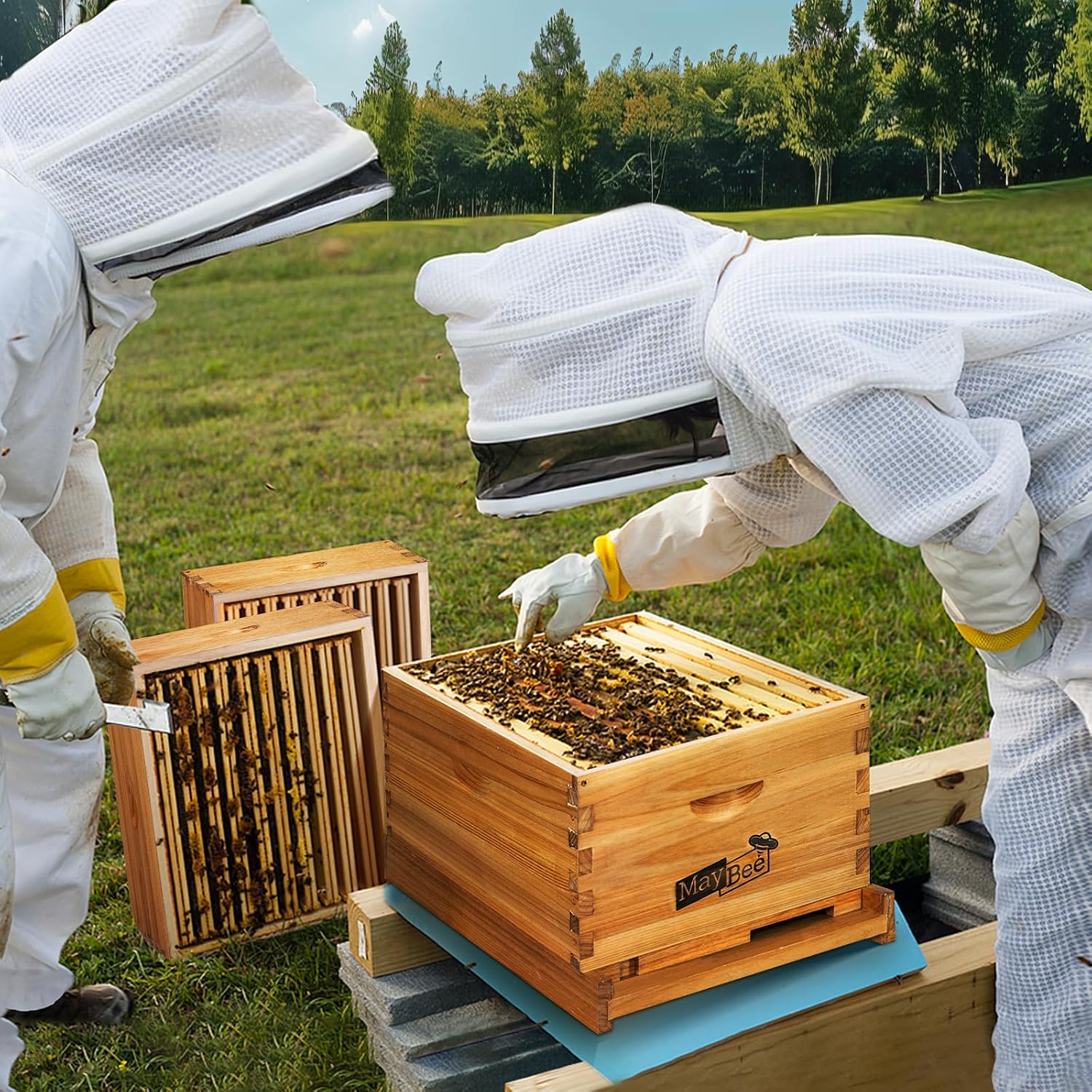 Zestaw 8-ramkowy do ula, ramki – Beehive Frame Wax recenzja i cena