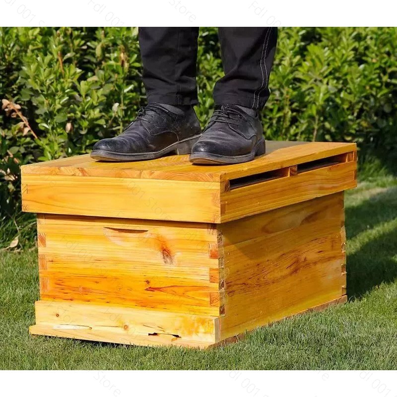 Kompletny zestaw do ula z 10 r – Beehive Frame Wax recenzja i cena
