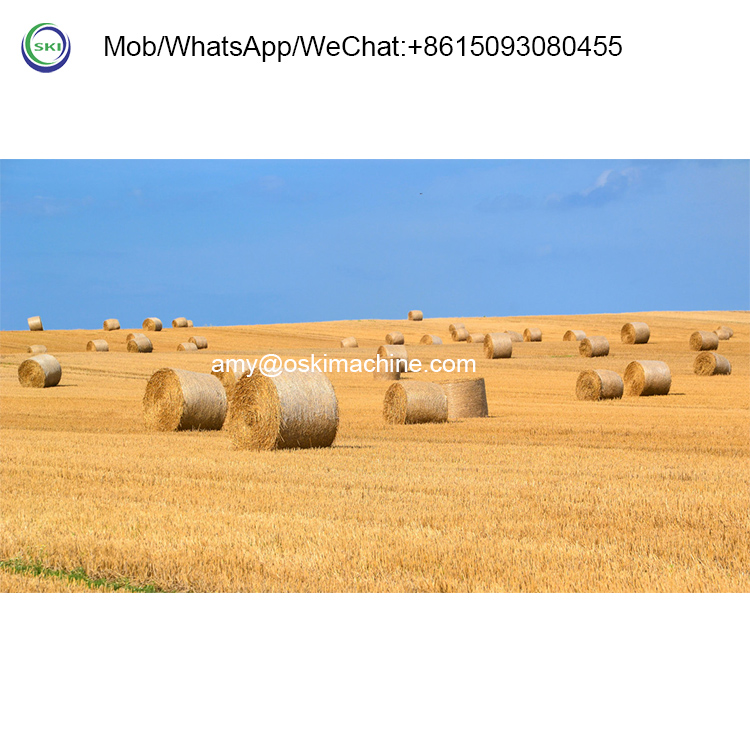 Automatyczna maszyna do pakowa – Silage Baler Machine recenzja i cena