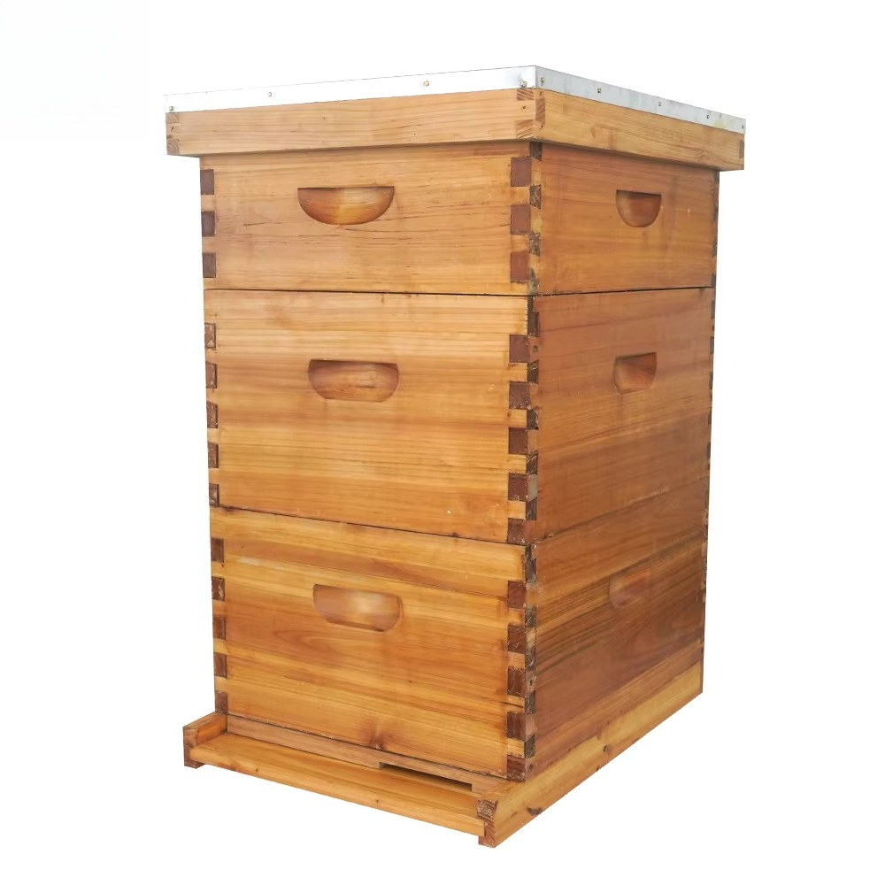 Kompletny, 3-warstwowy, woskow – Beehive Frame Wax recenzja i cena