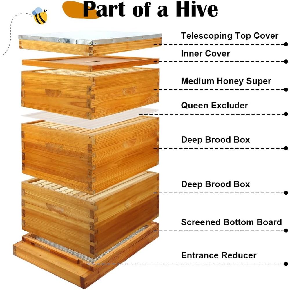 Zestaw do budowy 10-ramkowego  – Beehive Frame Wax recenzja i cena
